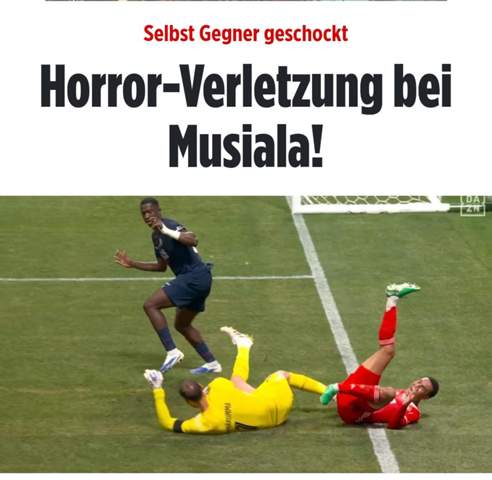 Bild zum Beitrag