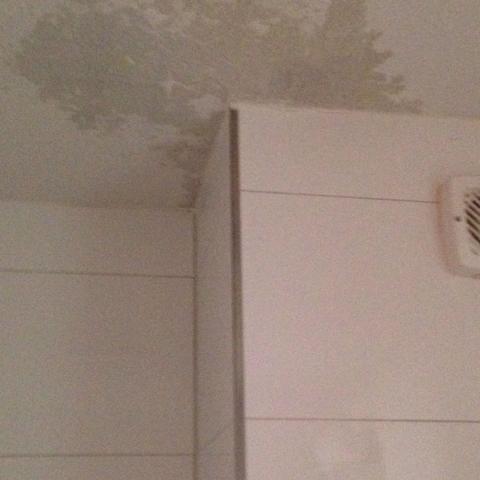Wasserschaden Decke Badezimmer
