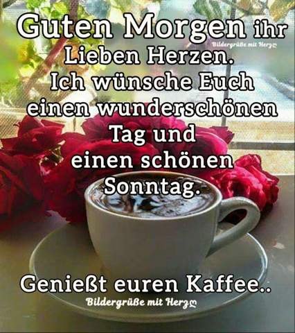 Ein Guten Morgen Heute Zum Sonntag Was Habt Ihr In Eurem Leben Schon Alles An Personlichen Sachen Verloren Und Welche Dinge Habt Ihr Schon Alles Gefunden Gesundheit Gugumo Gefundenes