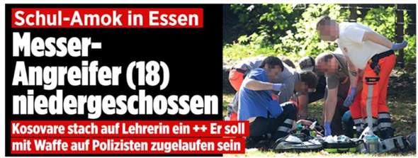 Bild zum Beitrag