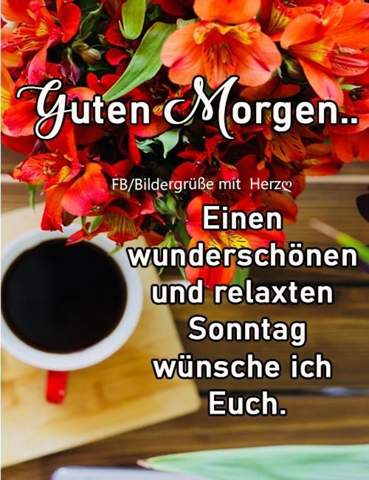 Ein Schonen Guten Morgen Heute Zum Sonntag Habt Ihr Schon