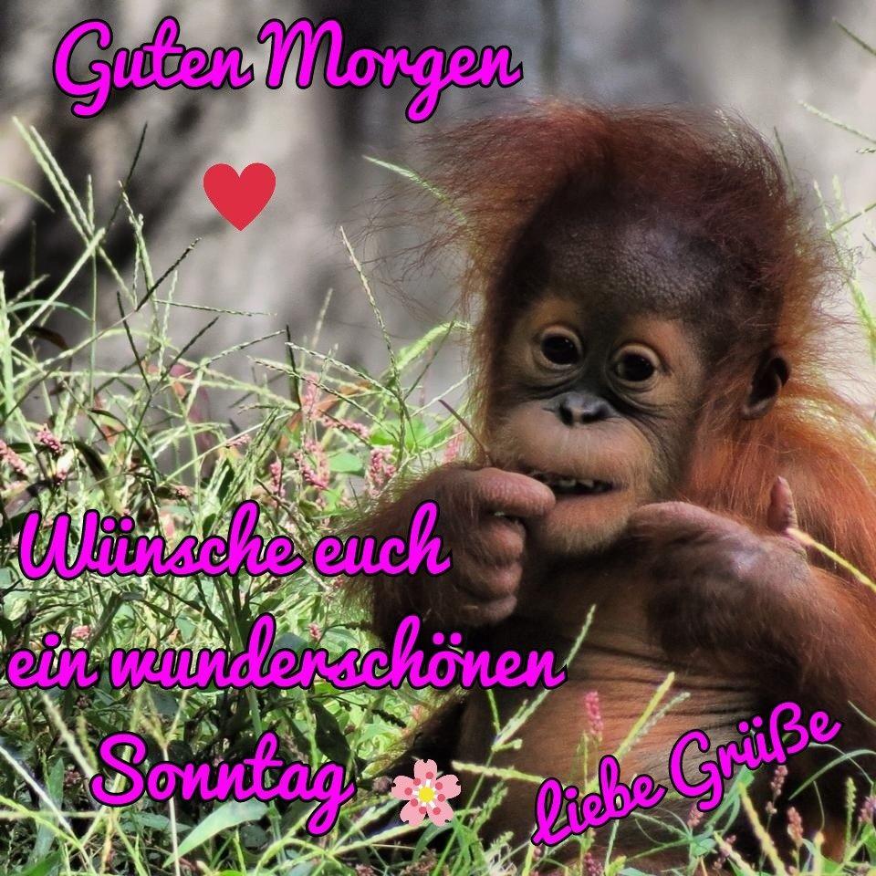 Kostenlose Bilder Schonen Sonntag Sonntag Kostenlose Bilder