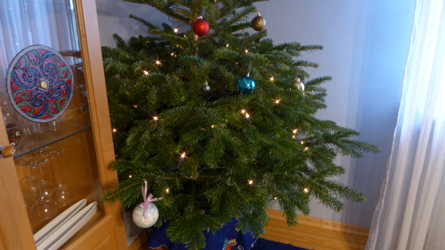 Ein schöner kleiner Tannenbaum muß nicht teuer sein. Was