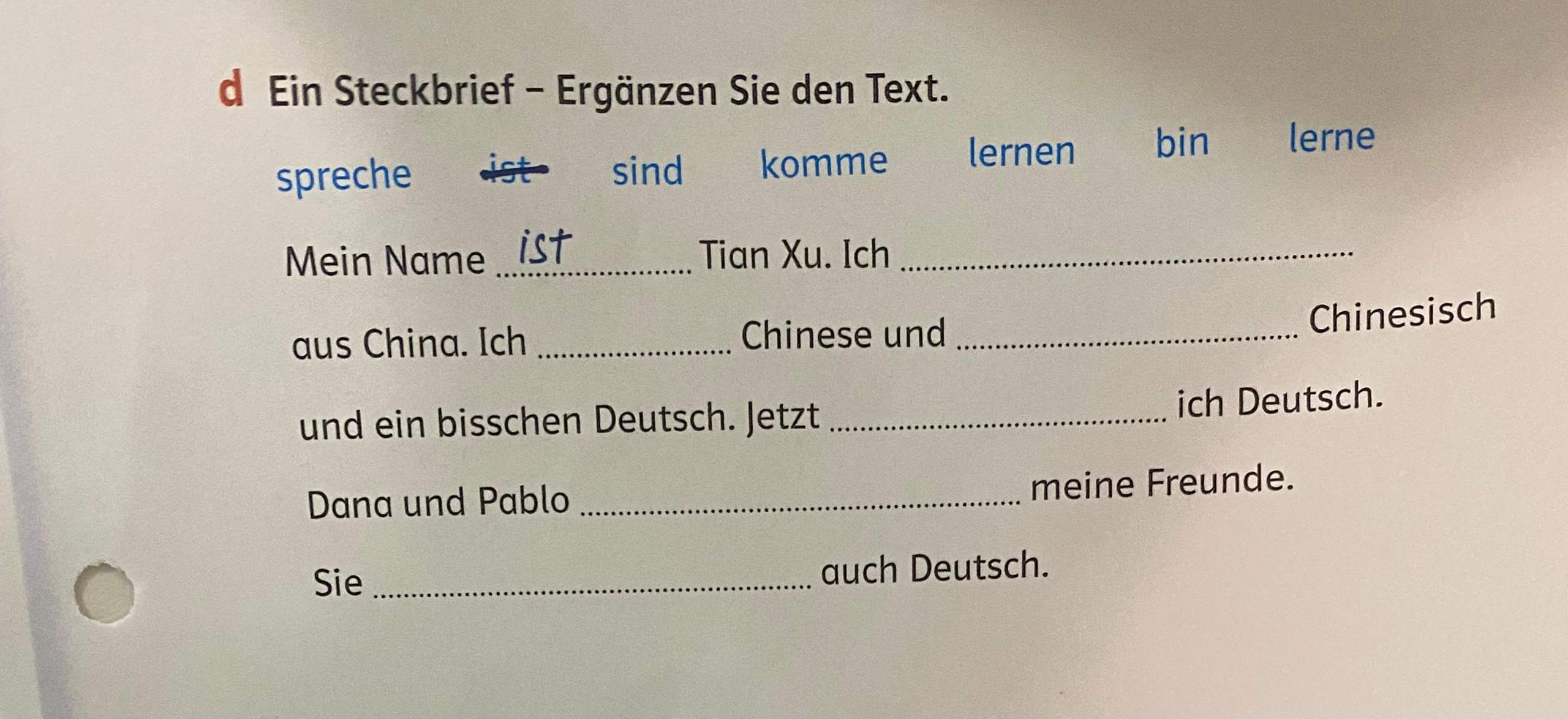 Ein Steckbrief - Ergänzen Sie den Text? spreche sind komme lernen bin ...
