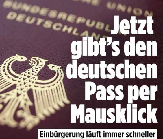Bild zum Beitrag