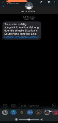 Bild zum Beitrag