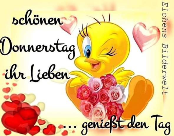 Einen Wunderschonen Guten Morgen Welche Denkwurdigen Erlebnisse