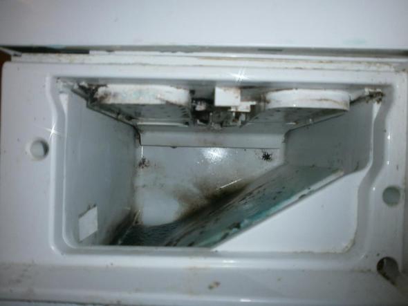 einspülkammer ohne schublade - (Waschmaschine, waschen, Schimmel)