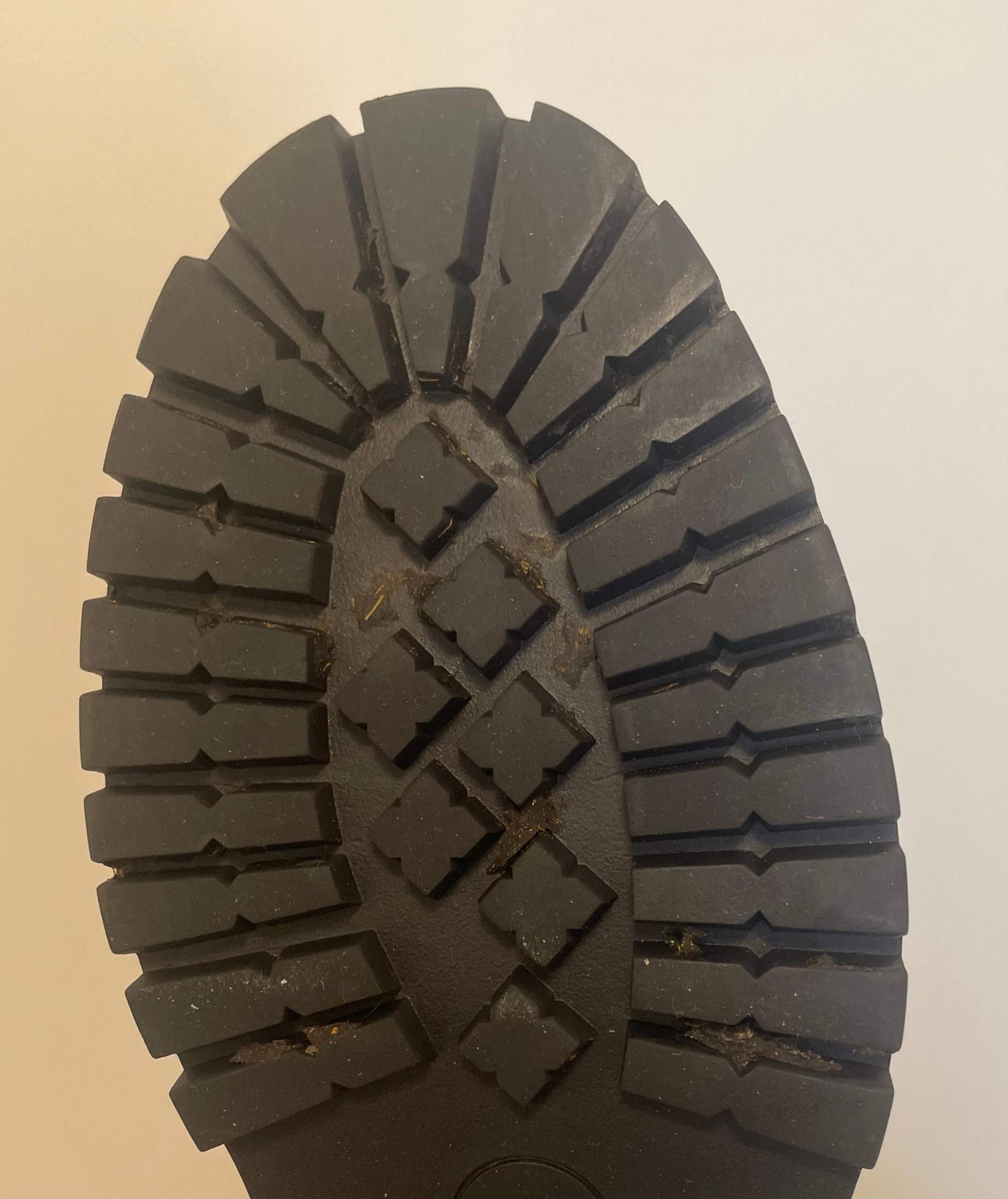 Hundekot Entfernen Schuhe