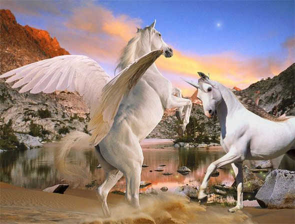 Einhorn vs. Pegasus, wer würde einen Kampf gewinnen?