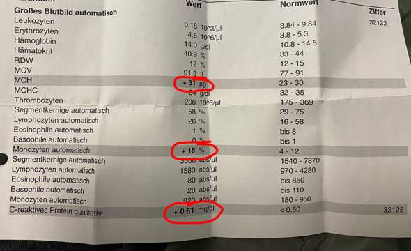 Einige Blutwerte erhöht? (Gesundheit und Medizin)