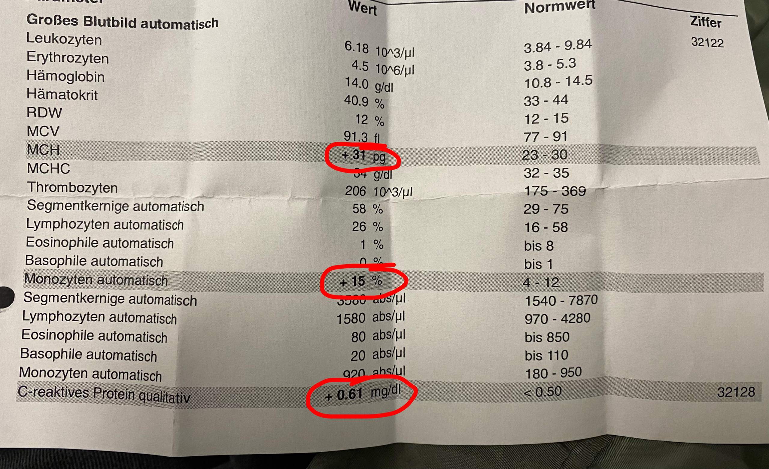 Einige Blutwerte erhöht? (Gesundheit und Medizin)
