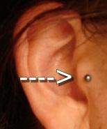 Tinnitus piercing deals