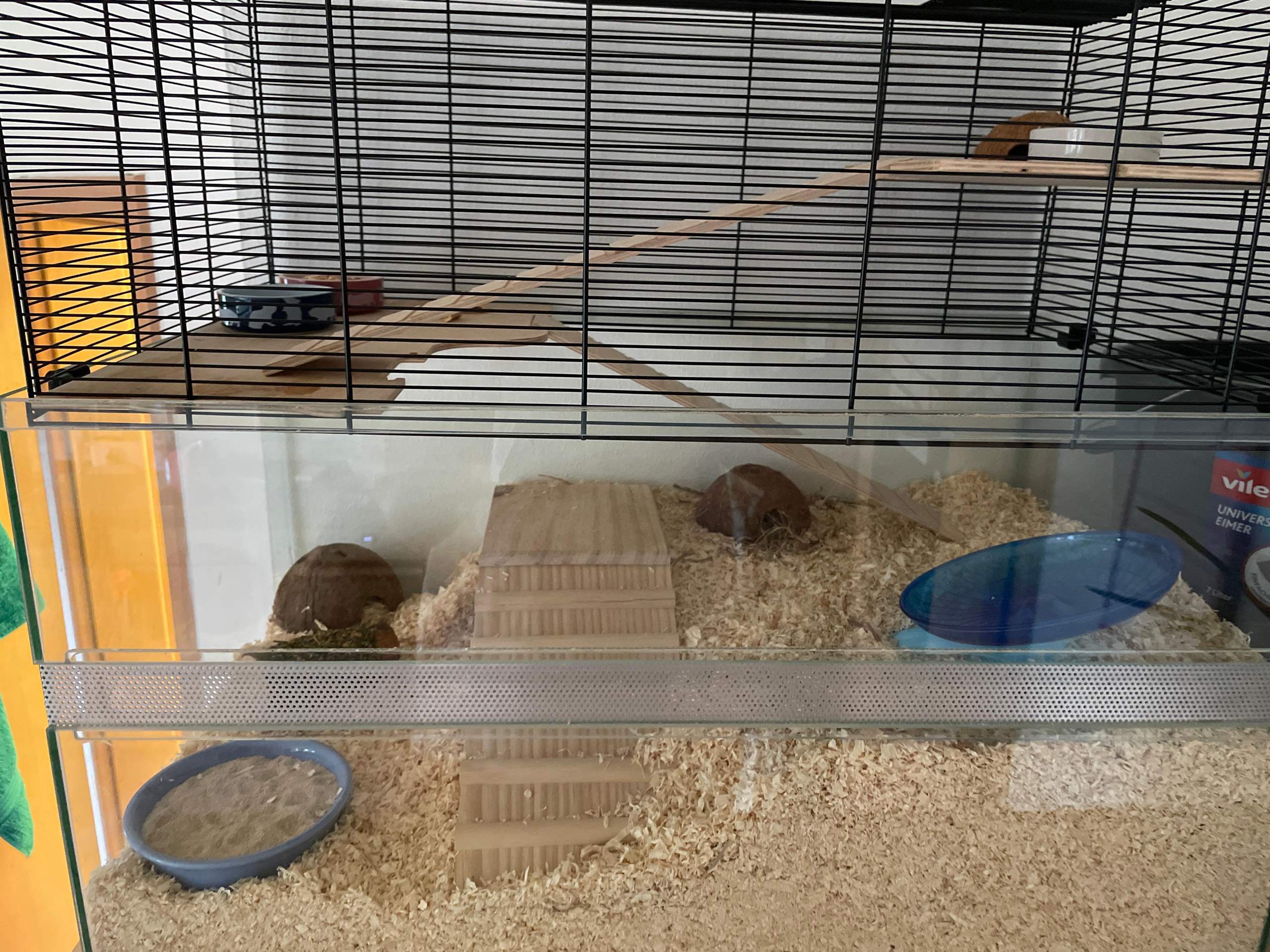 Einrichtung zwerghamster? (Haustiere) - 0 Full Einrichtung zwerghamster? (Haustiere) - 0 Full