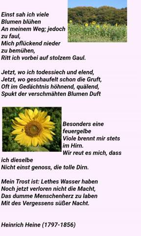 Einst sah ich viele Blumen blühen- Heinrich Heine, Gedichtsanalyse?