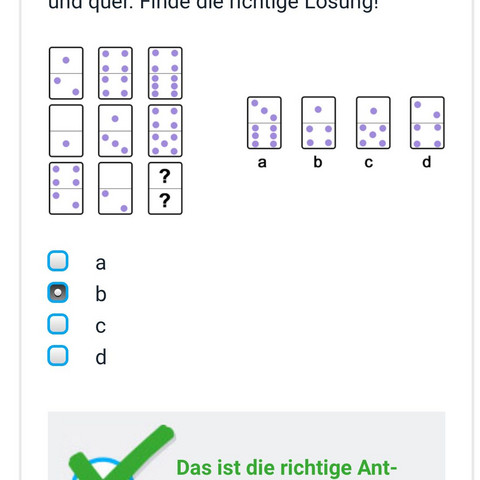 Einstellungstest, kann mir bitte jemand die Lösung erklären, wieso die