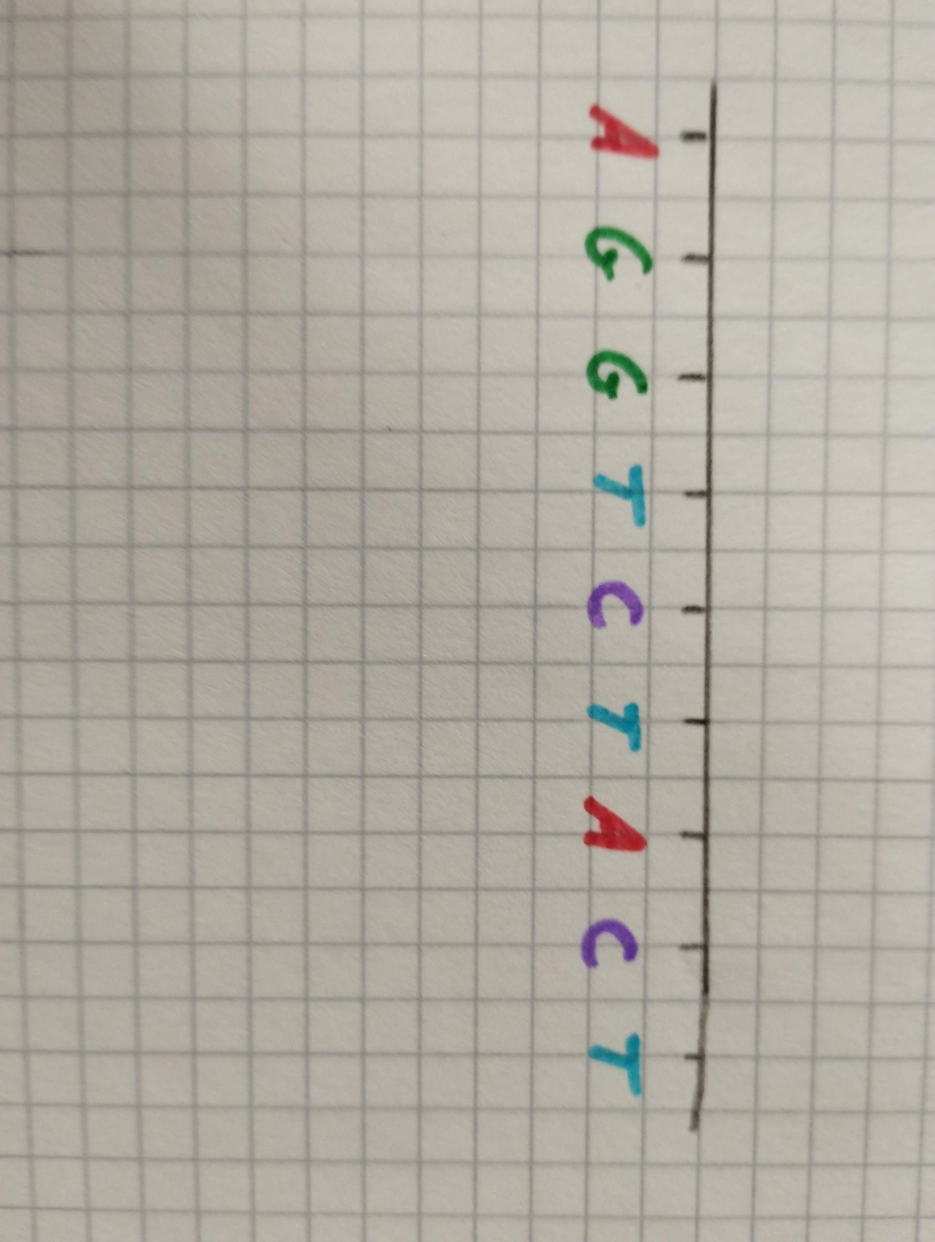 Einzelstrang zu DNA Doppelstrang? (Menschen, Chemie, Naturwissenschaft)