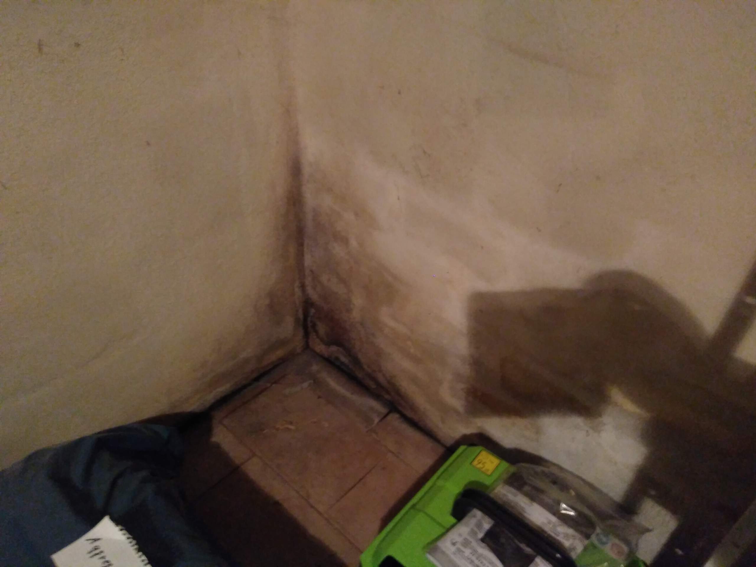 Schimmel Im Keller Mietrecht