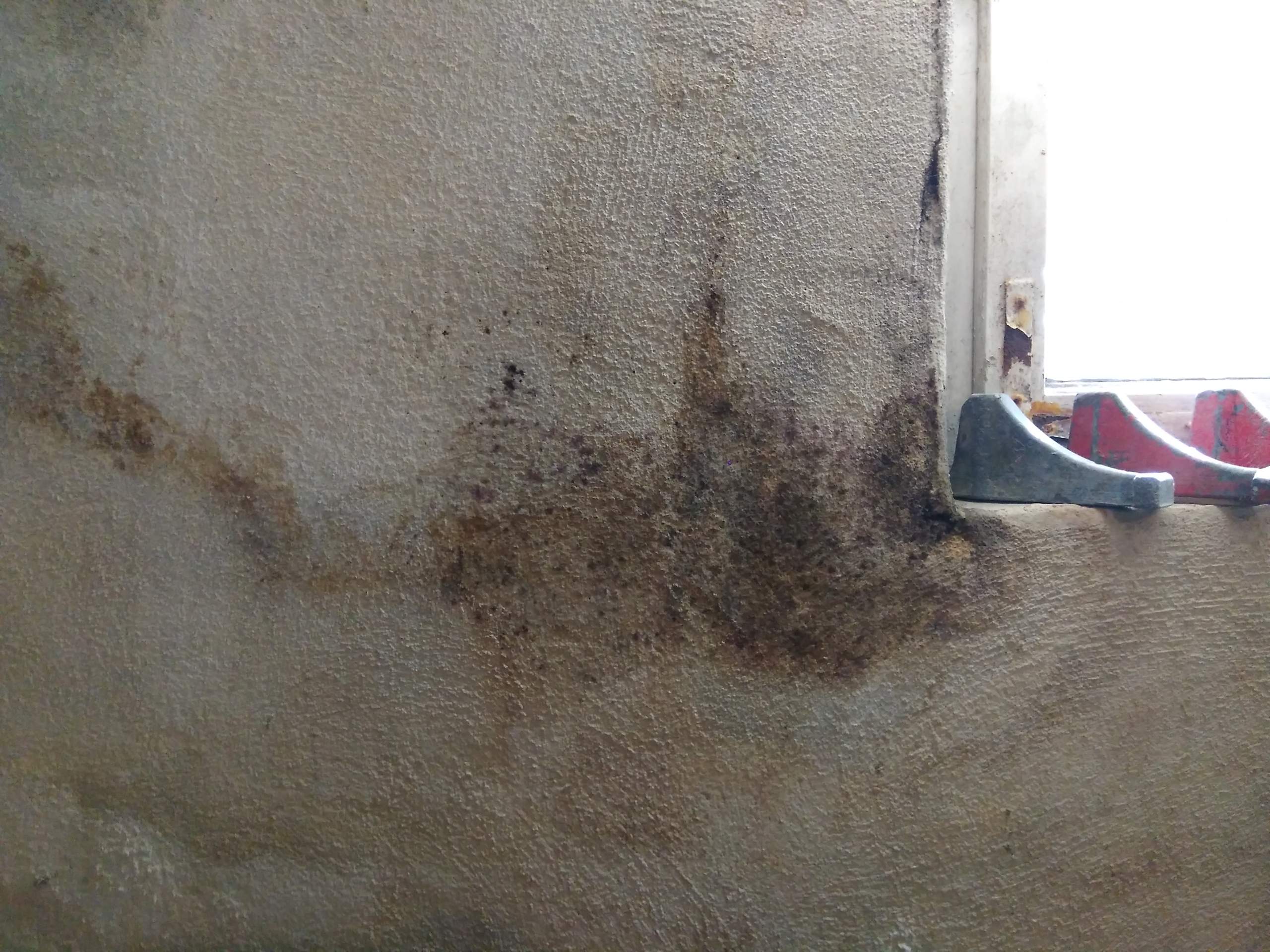 Schimmel Im Keller Mietrecht