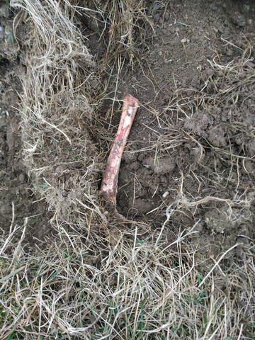 Get Ekelhafte menschen For Free Ekelhafte Menschen