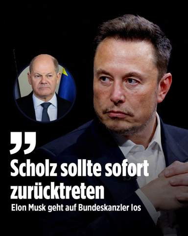 Bild zum Beitrag