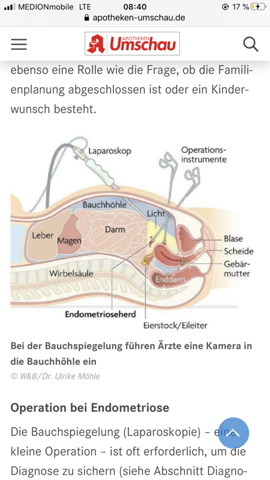 Bild zum Beitrag