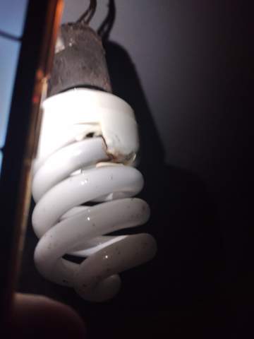Energiesparlampe plastik verbrannt?