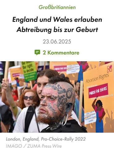 Bild zum Beitrag