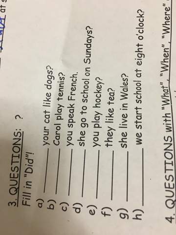 - (Schule, Englisch, Questions simple past )