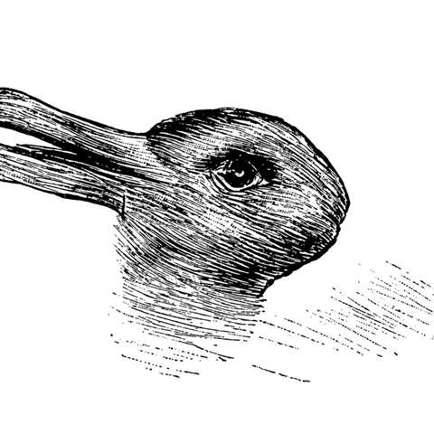 Ente oder Hase? (Haustiere, optische Täuschung)