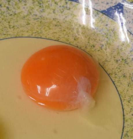 Entfernt ihr bei der Zubereitung von Eiern auch den weißen Faden?