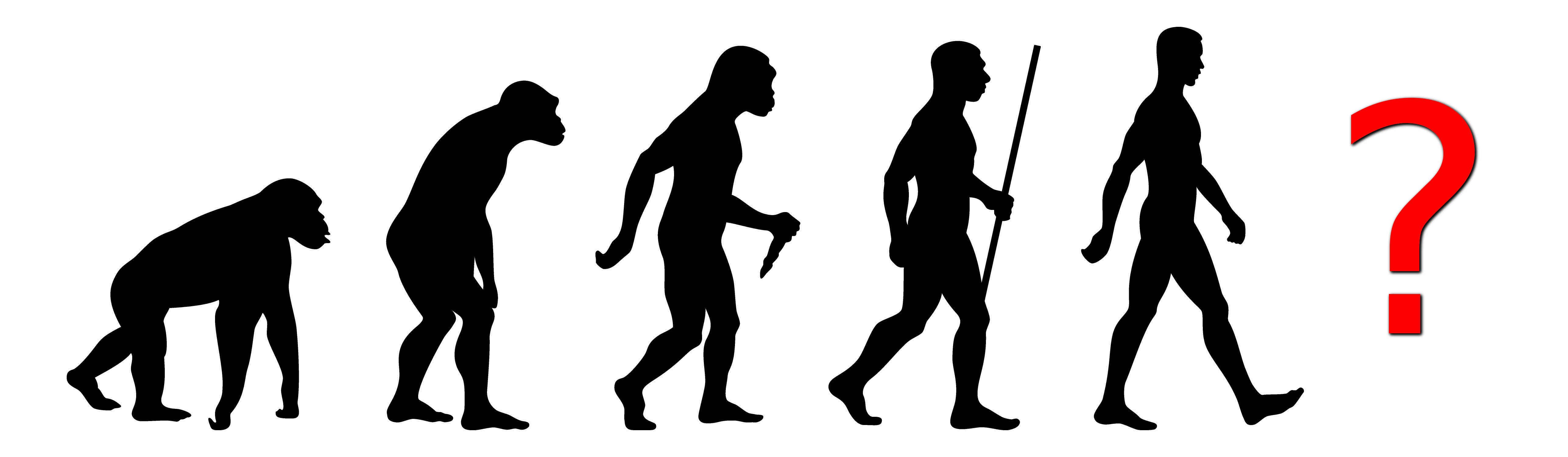 Menschen Evolution