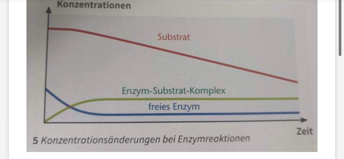 Enzyme bio erklärung? (Schule, Biologie)