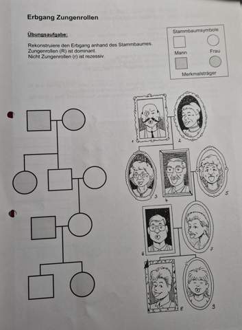 Erbgang Zungenrollen? (Menschen, Biochemie)