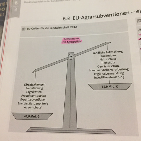 Bitte dringend um Hilfe🙏🏻🙏🏻 - (Wirtschaft, Erdkunde, Europa)