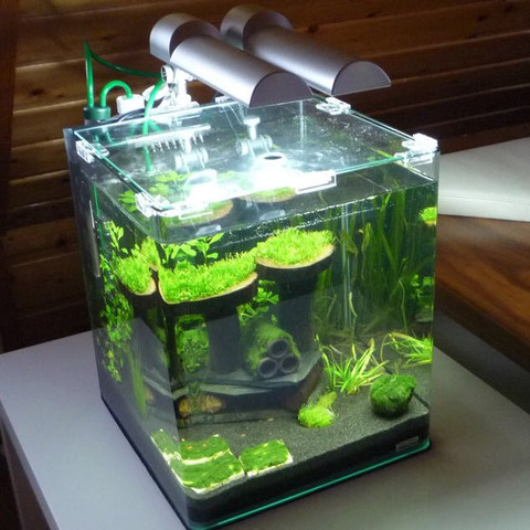 Erfahrungen mit Nano-Aquaristik? Welches Aquarium ist besser? (Tiere ...