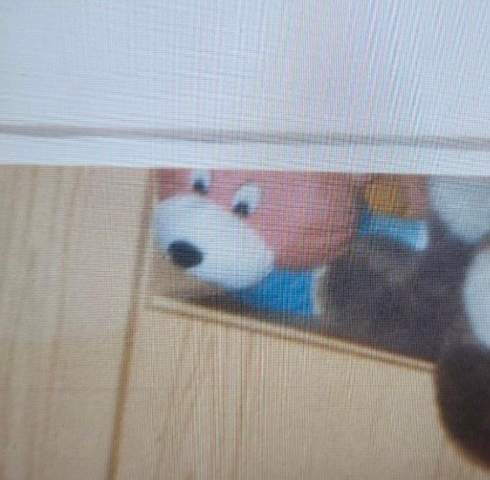 Bild zum Beitrag