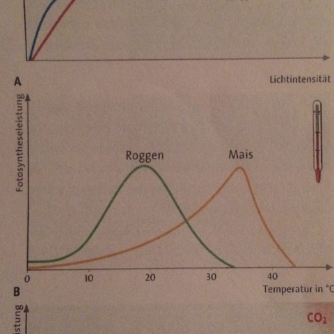Diagramm für fotosyntheseleistung  - (Bio, Diagramm)