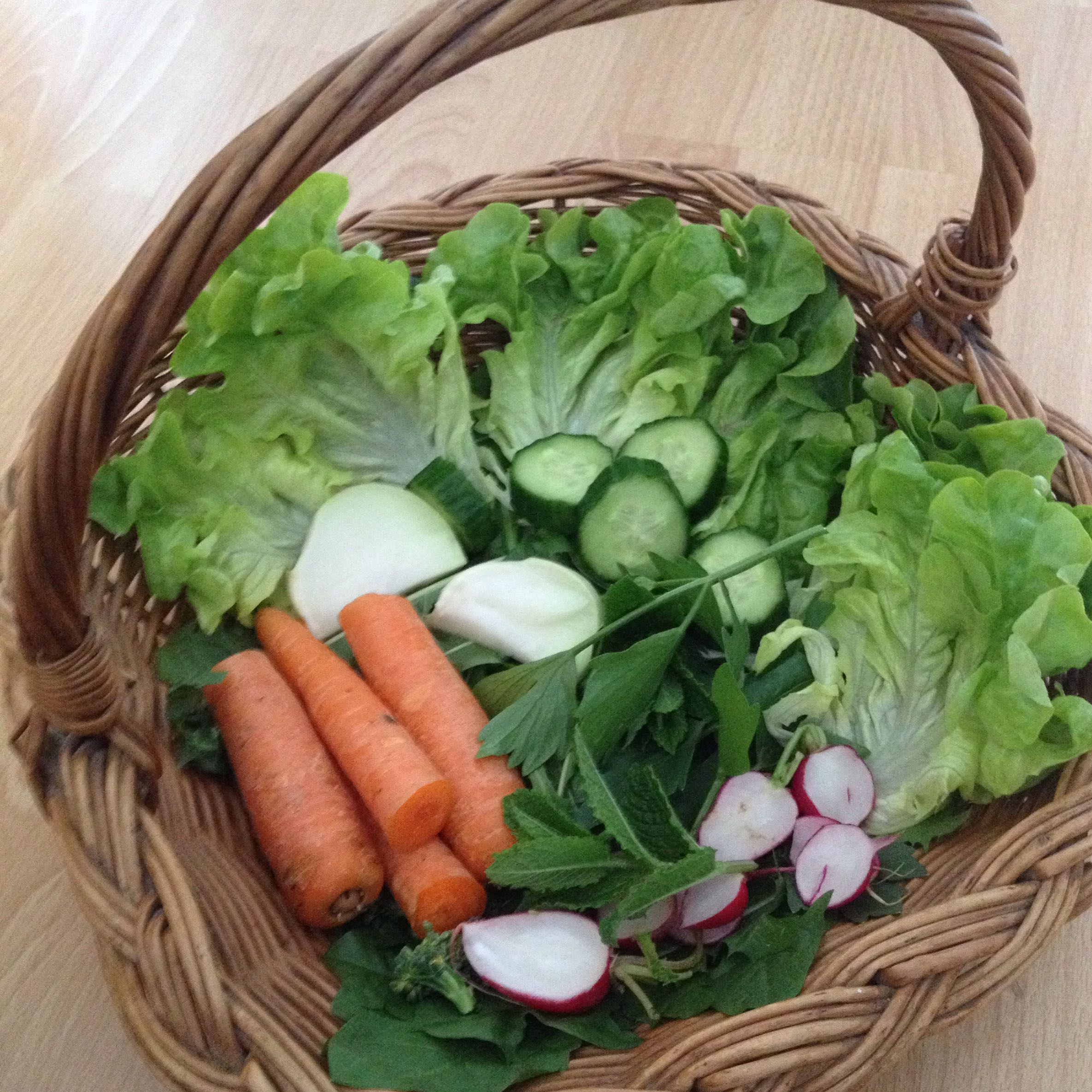 Ernähre ich meine Kaninchen gesund? (Ernährung, Hasen, Kaninchenfutter)