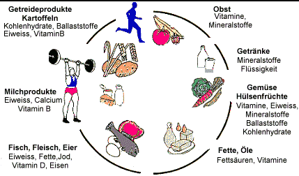 - (Ernährung, Sport und Fitness)