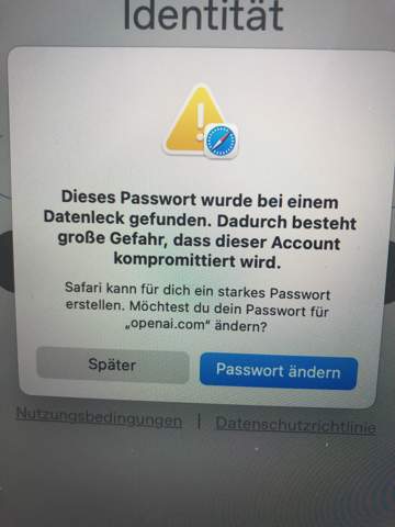 Bild zum Beitrag
