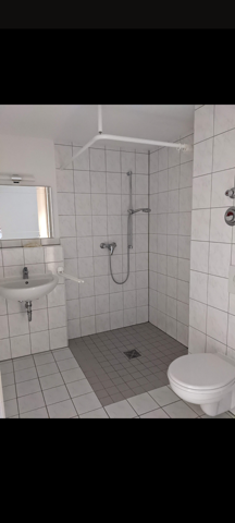 Bild zum Beitrag