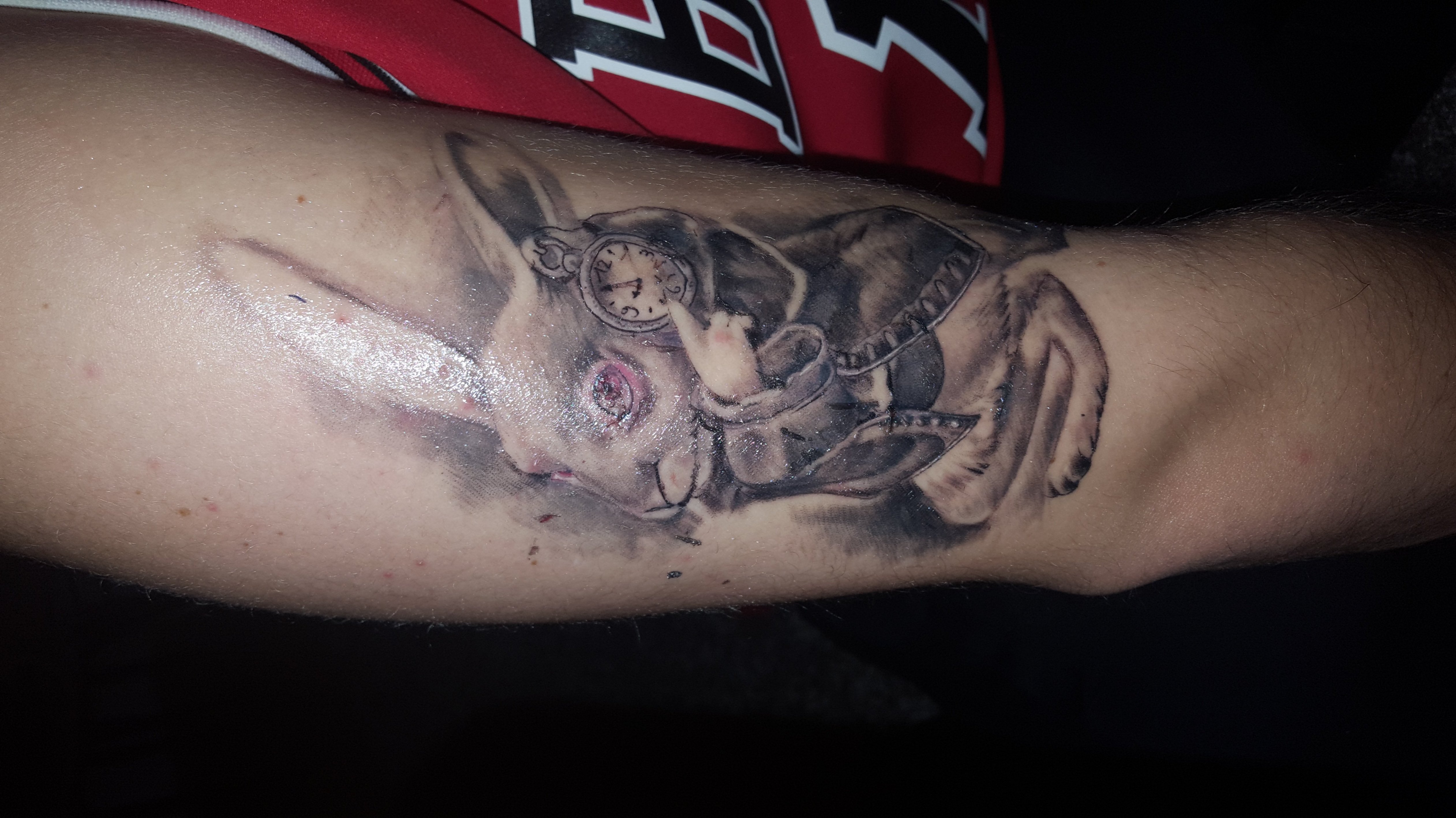 Erstes Tatoo. Alles richtig gemacht!? (Tattoo, Hasen)