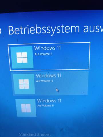 Bild zum Beitrag