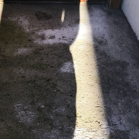 Es Wachst Auf Dem Balkon Auf Beton Gesundheit Und Medizin Schimmel Pilze