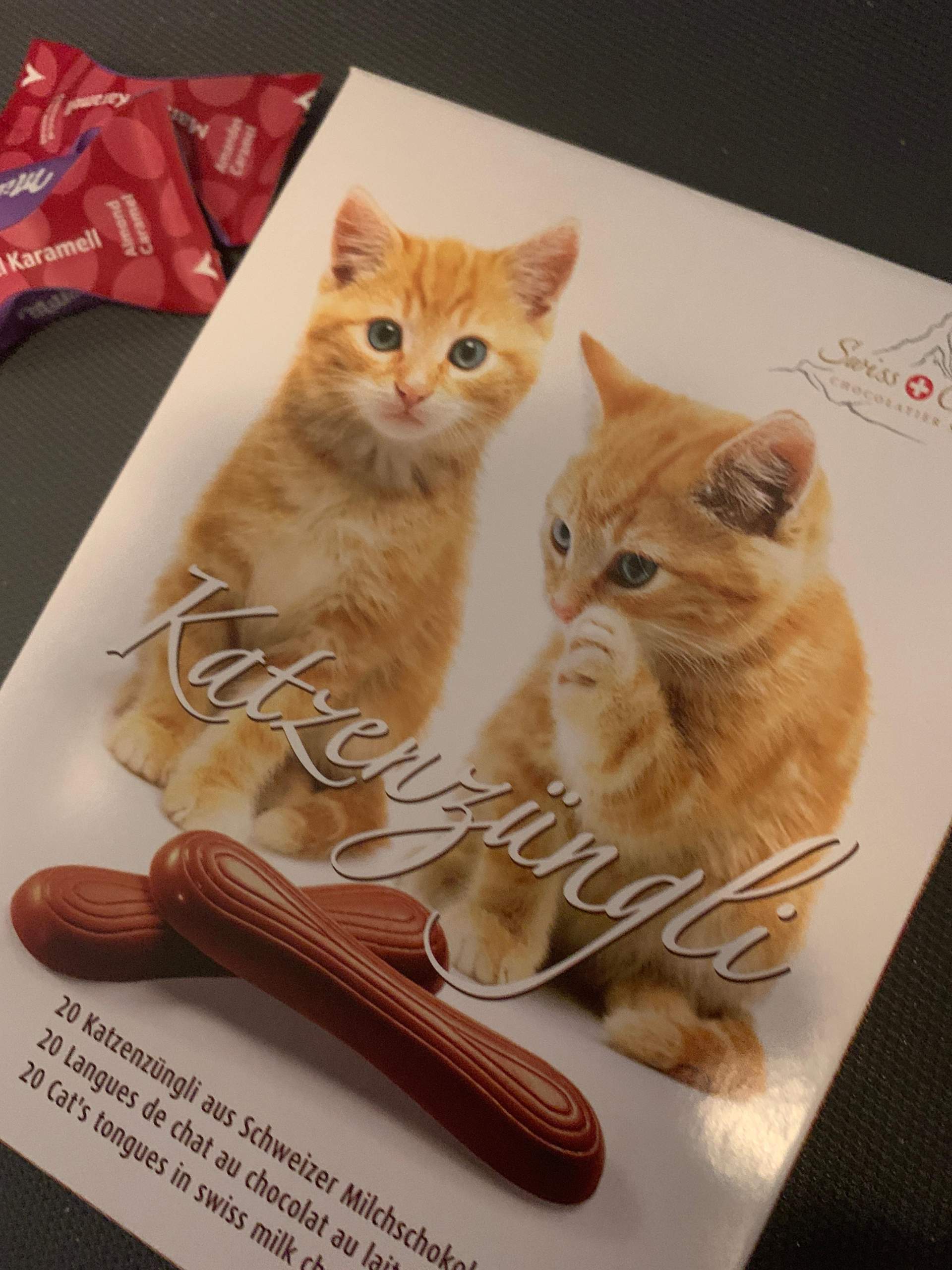 Essen Katzen Schokoladen? (Katze) Essen Katzen Schokoladen? (Katze)