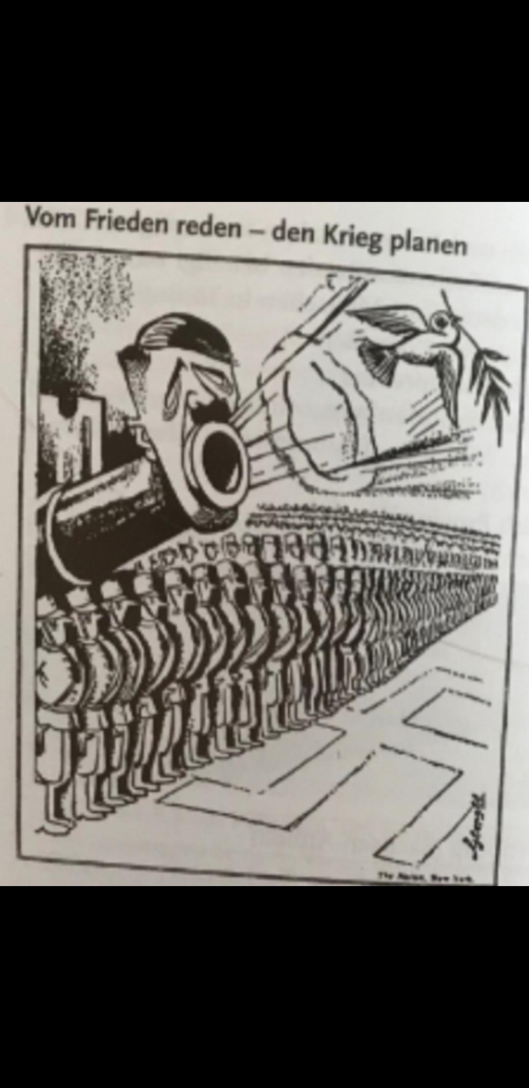 Eure Ersten Eindrucke Karikatur