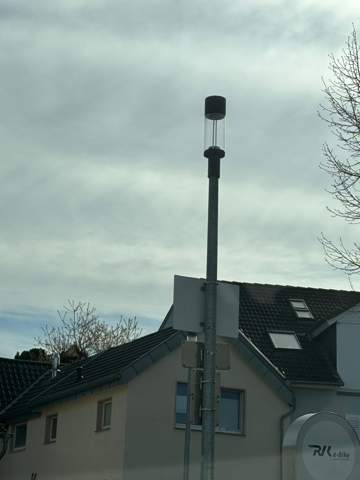 Bild zum Beitrag