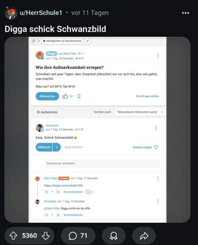 Bild zum Beitrag