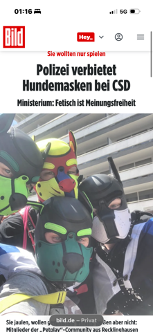 Bild zum Beitrag